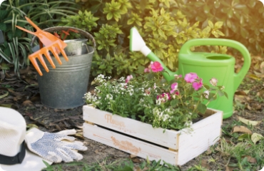 services 02 Servicios