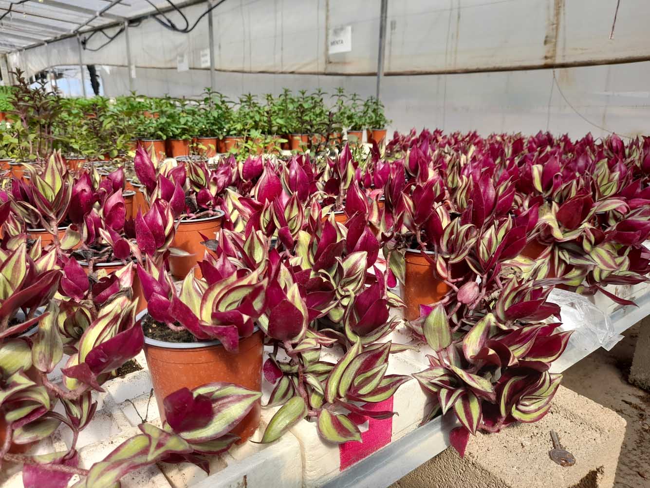 20210512 170606 Servicios