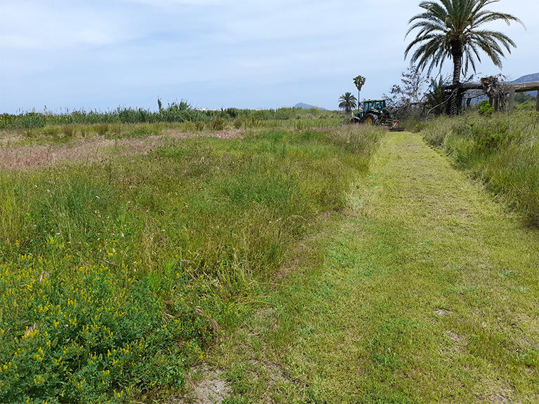 preguntas frecuentes FAQ